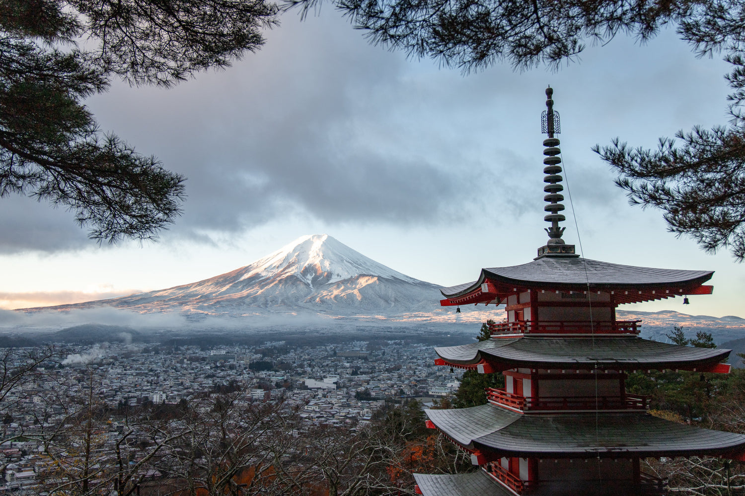 Japan Group Tours