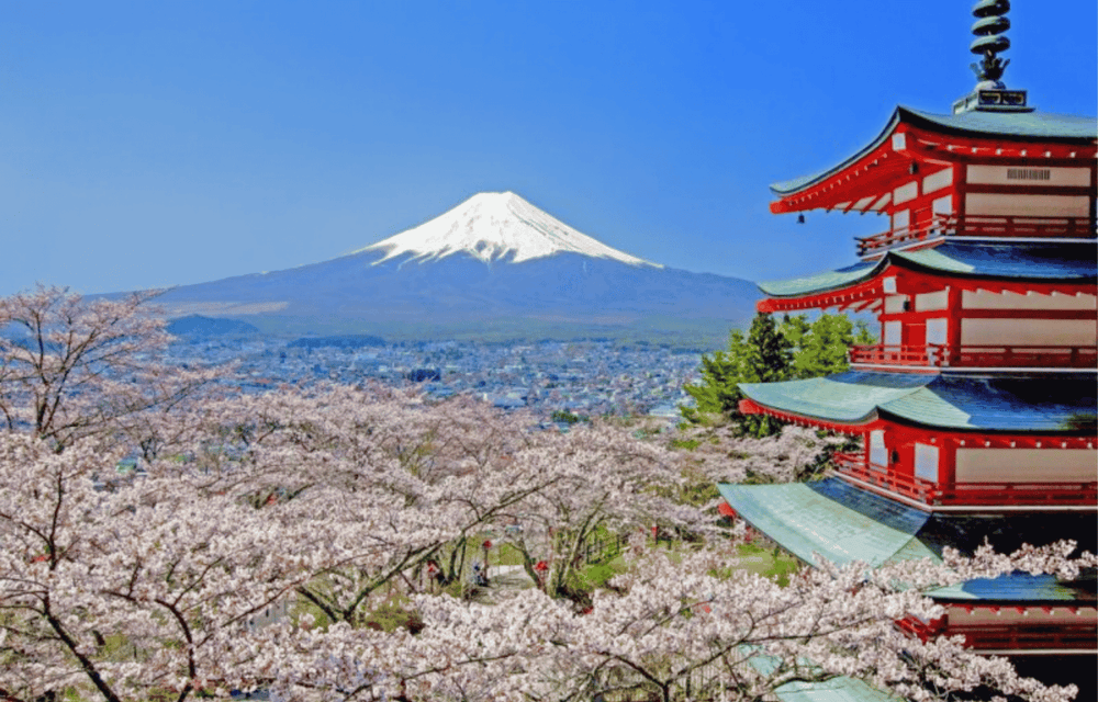 FUJI - GOTEMBA (B/L)