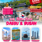 5-DAY BLOSSOM BREEZE KOREA (BUSAN & DAEGU)