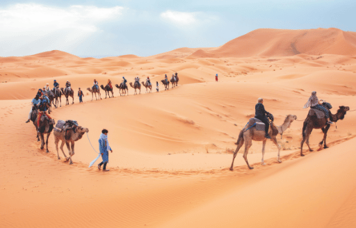 DESERT SAFARI  (B/D)