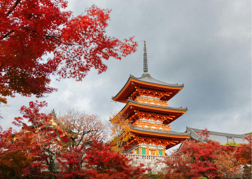 FUKUOKA CITY TOUR (B/L/D)