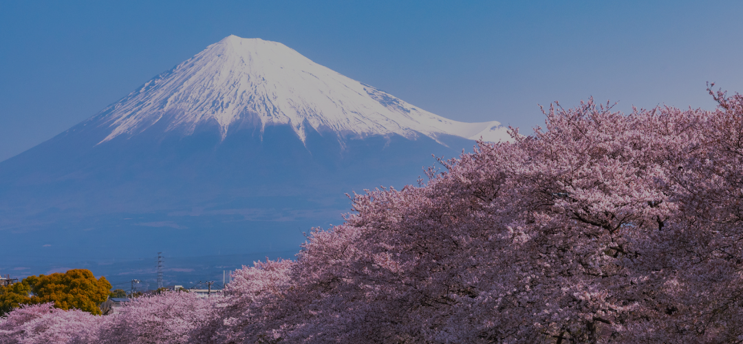SPRING FLING JAPAN