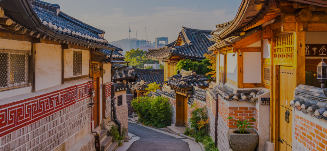 Wanderfall Korea