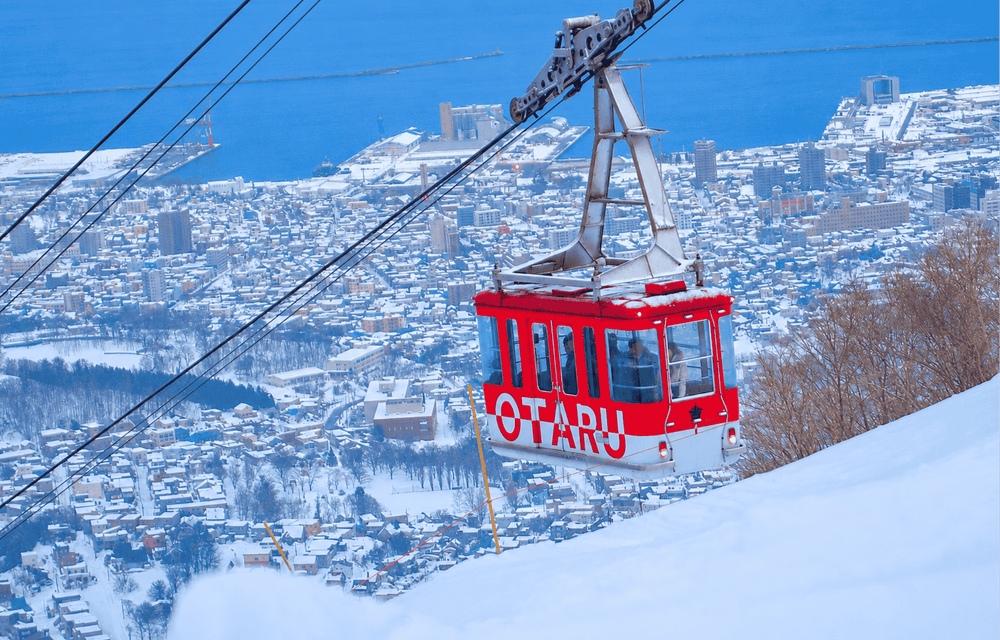 OTARU WINTER TOUR (B/L/D)