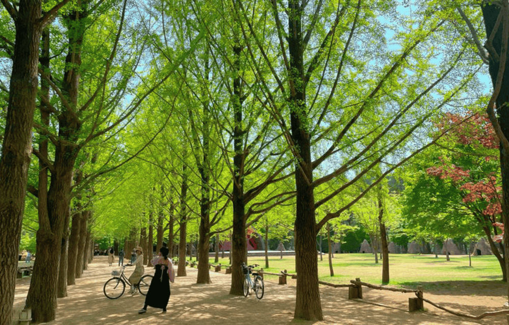 NAMI - ISLAND (B/L/D)