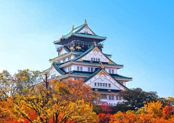 Fall Into Winter Japan