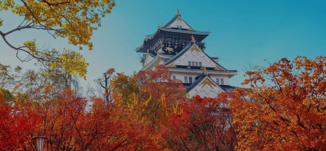 Fall Into Winter Japan