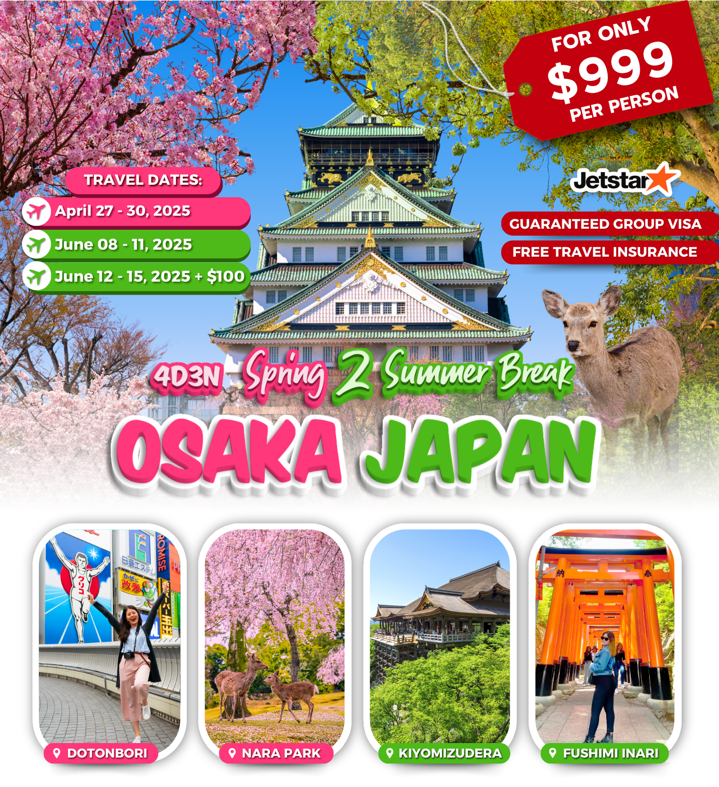 JAPAN PACKAGES