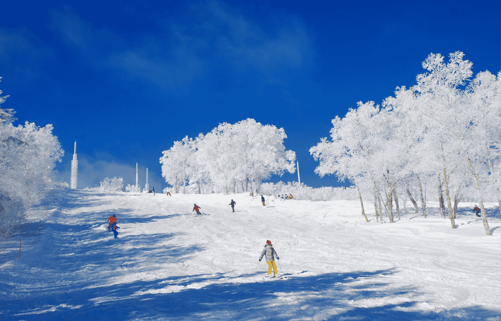 SKI EXPERIENCE (B/L/D)
