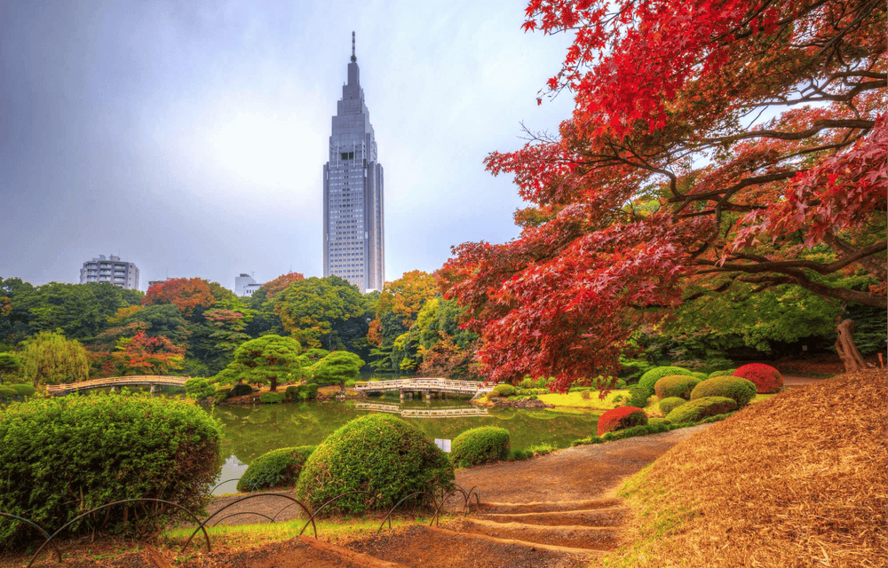 ARRIVAL IN TOKYO (L)