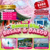 5-DAY BLOSSOM BLISS KOREA (BUSAN & DAEGU)