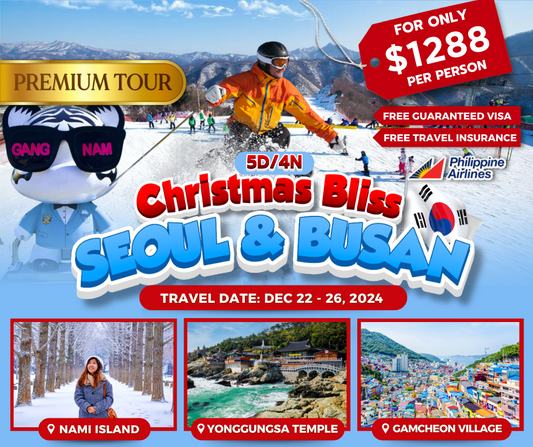 5-DAY CHRISTMAS BLISS KOREA (Seoul & Busan)