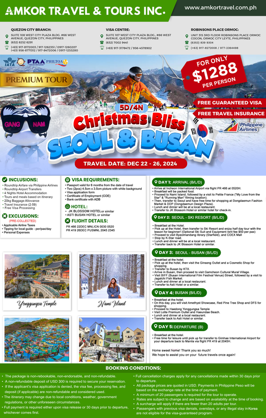 5-DAY CHRISTMAS BLISS KOREA (Seoul & Busan)