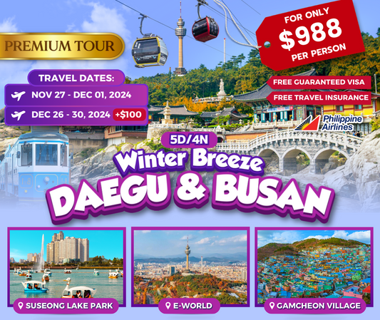 5-DAY WINTER BREEZE KOREA (Busan & Daegu)